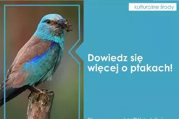 Andrzej Pająk, ptaki, graf. MDK Lubliniec