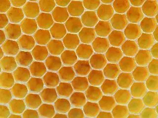 Miód z mleczkiem pszczelim: co to jest i jakie ma właściwości