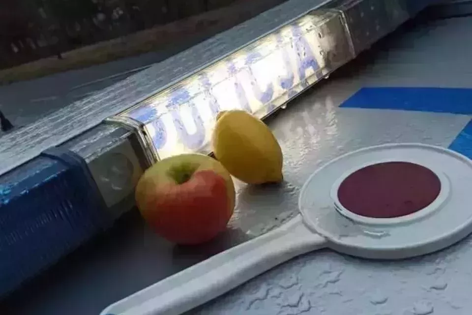 Cytryna i jabłko na policyjnym radiowozie