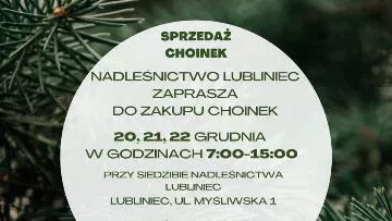 Sprzedaż choinek przy Nadleśnictwie Lubliniec